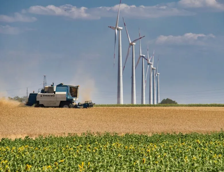 Emploi et écologie : les nouveaux métiers