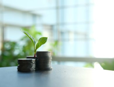 Investir dans l’écologie : choix économiques