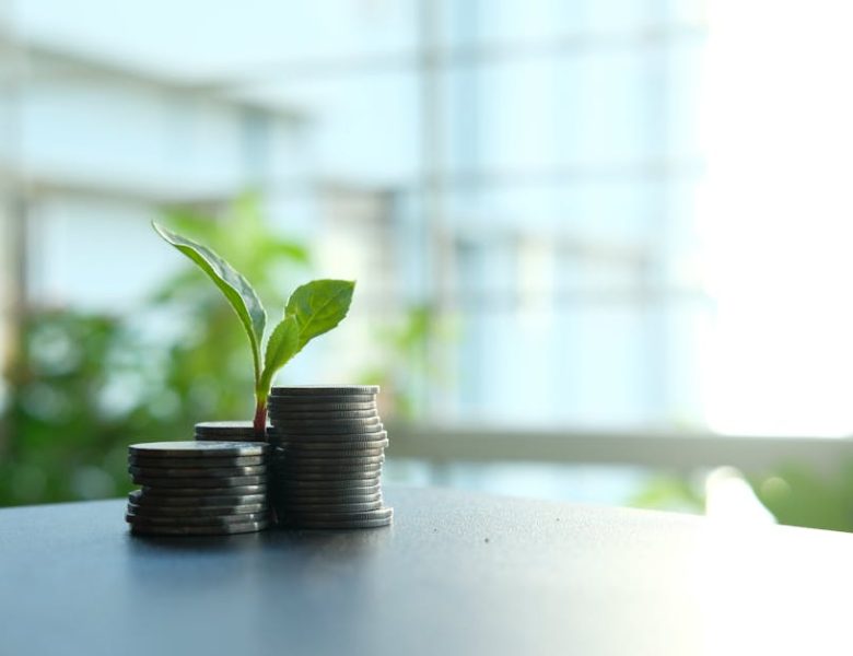 Investir dans l’écologie : choix économiques