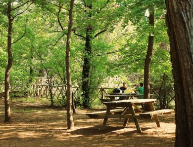 Aménager son jardin : idées pour un espace convivial