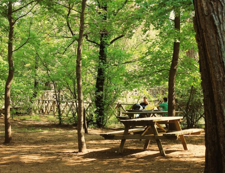Aménager son jardin : idées pour un espace convivial