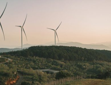 Innovations écologiques pour un quotidien durable
