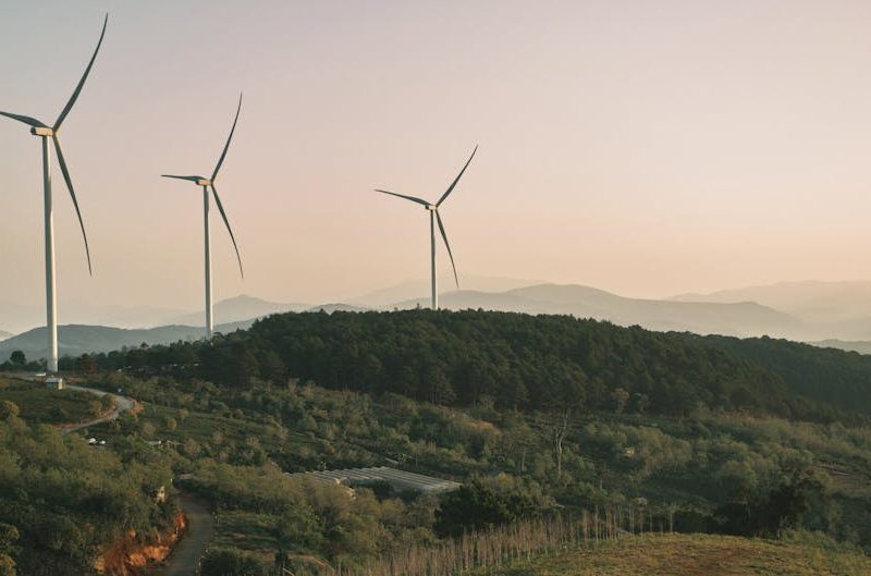 Innovations écologiques pour un quotidien durable