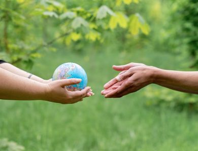 Guide des petits gestes pour une vie plus écolo