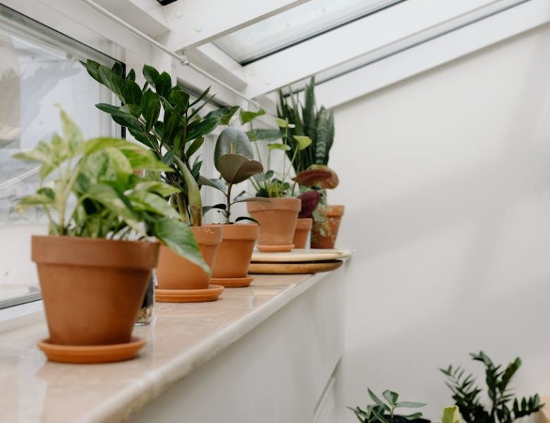 Tendances déco à adopter sans tarder