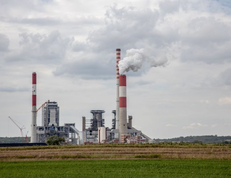 Économie écologique : économiser sans se priver