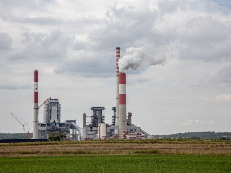 Économie écologique : économiser sans se priver