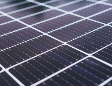 Économie domestique : transformer son foyer en éco-refuge