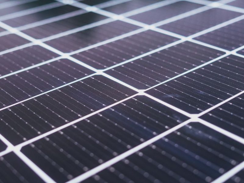 Économie domestique : transformer son foyer en éco-refuge